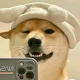 用户8386325567182头像
