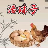 自由衡水9D2头像