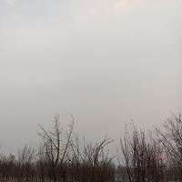 才高八斗漂流瓶V08头像