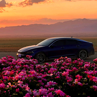 养了只凯酷头像