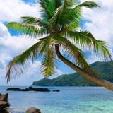 知行合一8408头像