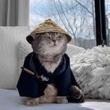 小牛吖669头像