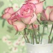 abcdefg650的个人资料头像