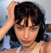 励志养猫的香菜的个人资料头像