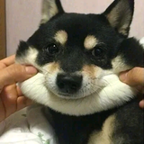 海淀吴奇隆头像