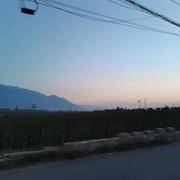 xiaozhi52193的个人资料头像