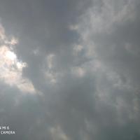 这把我莽了头像