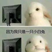 Hi的个人资料头像