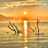 爱自驾爱自由头像