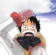 旺仔五花肉的个人资料头像