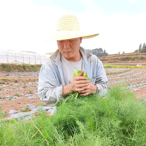 小崔的美食生活头像