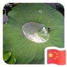 空山竹语的个人资料头像