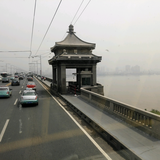 京dongwuliu打折头像