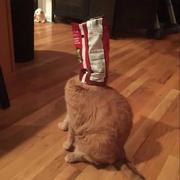 些几的个人资料头像