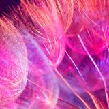 2018年1月8日275头像