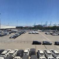 天津保税区唐兄头像