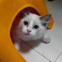 阳老板(好物分享)头像