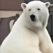 用户08161954246的个人资料头像