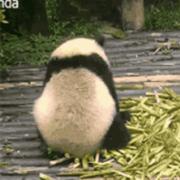 hellocy的个人资料头像