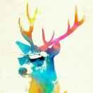 ZachLi的个人资料头像