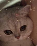 某Disney在逃公主的个人资料头像