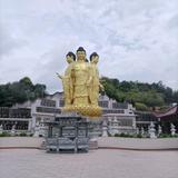 用户9905467768320头像