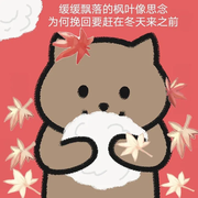 fengcr28的个人资料头像