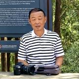 山山南阳云头像