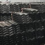 今天在追明天风头像