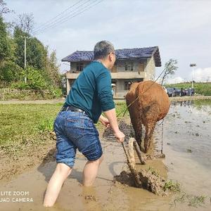 Y闲民头像