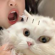 Mercury397的个人资料头像