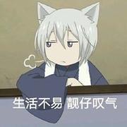 KK41的个人资料头像