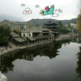 蓝调逗逗_672头像