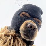 海大王尼玛头像