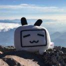 鸡腿的个人资料头像