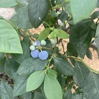 隔壁杨先生567头像