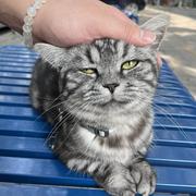 用户6679816128331的个人资料头像