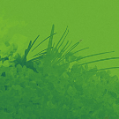 只因你不美的个人资料头像