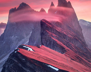 biubiubiu的个人资料头像