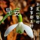 皑雪茫茫头像