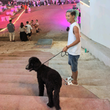 来哥旅游推荐官头像