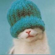 烏哩馬嗏_vincent的个人资料头像