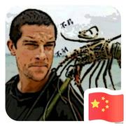 释放天性的个人资料头像