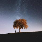 HiPoseidon的个人资料头像