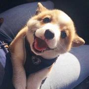 Aben949的个人资料头像