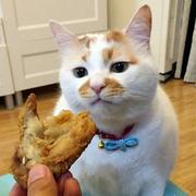 Bruceyu的个人资料头像