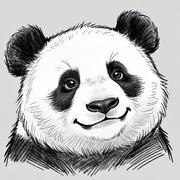 康桥的个人资料头像