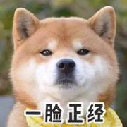 农村闲散劳动力_入城搬的个人资料头像