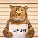 用户9573505471549头像