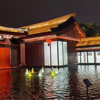 枫林听雨头像